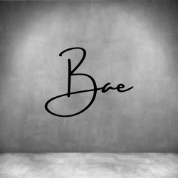 Bae - L 450MM Matt Gold brass Font 1