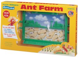 Ant Farm Ant Farm