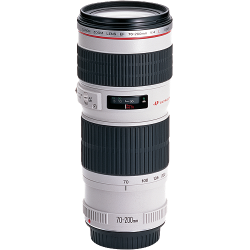 Canon Ef 70-200MM F 4 L Usm Lens