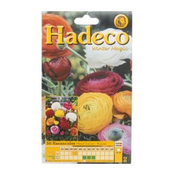 Hadeco Ranunculus Mixed Colours Regular Bulbs 25 Pk