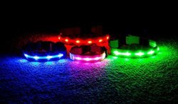 WAGZ4LIFE Blow Out Safety LED Dog Collar - Rechargeable - Water Resistant - Light Up Or Flashing High Visibility - Looks Awesome - Includes