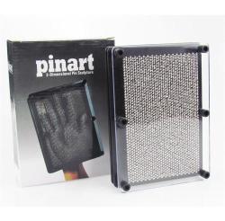 Small Pinart 3D Sculpture Frame Image Pin Point Art Impressions Captor Metal