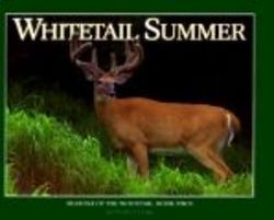 Willow Creek Press Whitetail Summer Seasons of the Whitetail John J. Ozoga, Bk 4