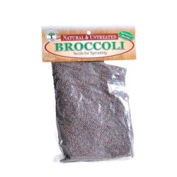 Umuthi Broccoli Sprouting Seeds - 1KG