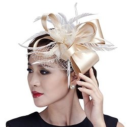 Aniwon Fascigirl Netting Fascinator Bridal Hair Clip Feather Headpieces Wedding Headwear
