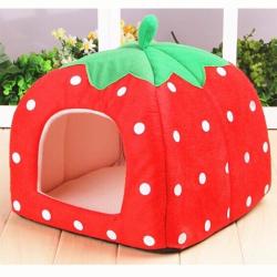 Pet Strawberry Waterloo Specification: Red Size L