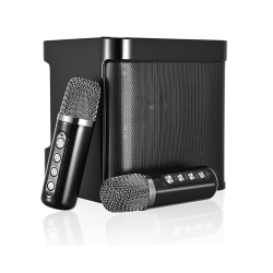 YS-203 Portable MINI Wireless Bluetooth Speaker With 2 Karaoke Microphones