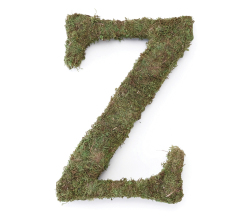 Large 15 Inch Moss Monogram - Z