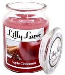 Lilly Lane Apple Cinammon Scented Candle Large Lidded Mason Glass Jar Wax Capacity 510GRAMS Burn Time Up To 75 Hours High Quality Premium Paraffin