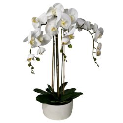 Faux White Orchid In Pot Sotran Dekorativ
