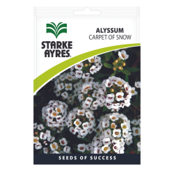 Seeds - Alyssum Carpet Of Snow