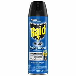 Raid Flying Insect Killer Insecticide Spray - 15 Oz