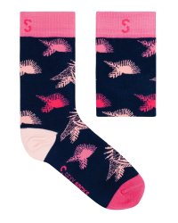 Sexy Socks 8-11 Tropical Candy