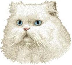 White Fluffy Blue Stripe Dishcloth Cat White Persian