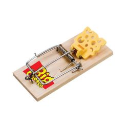 The Big Cheese Baited Mouse Trap - Twinpack