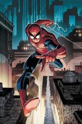 Amazing Spider-man By Wells & Romita Jr. - Zeb Wells Paperback