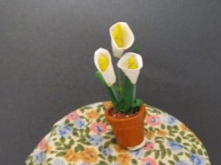 Miniature Dollhouse 1 12" Pot Plant - Hand Made - Table Not Included