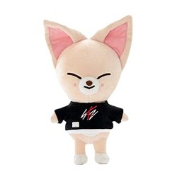 Deals on Skzoo Plush Toys Kawaii Skz Plushie Stray Kids Plush Dolls Cartoon  Stuffed Animal For Kids Fans Gift 8.2 Inch 21CM, Compare Prices & Shop  Online