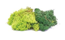 Hornby Scenics Lichen Green Mix