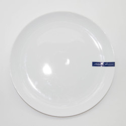 Arctic White Coupe Dinner Plate