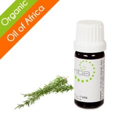 Escentia Organic Rosemary Pure Essential Oil - 20ML