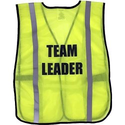 Ergodyne 8020HL Team Leader Safety Vest - Yellow lime