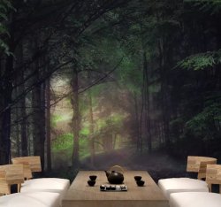 Old-growth Forest Tree Wall Mural