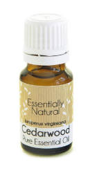 Cedarwood Essential Oil - 100ML
