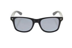 Levi's hot sale wayfarer sunglasses