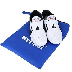 taekwondo sneakers