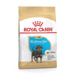 ROYAL CANIN Rottweiler Puppy Dry Dog Food - 12KG
