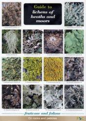 Guide To Lichens Of Heaths And Moors Other Printed Item