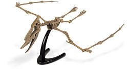 Geoworld Jurassic Eggs Dsungaripterus Skeleton Assembly Set