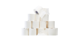 Toilet Paper 2 Ply - 24 PACK