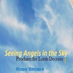 Seeing Angels In The Sky - Proclaim The Lords Decree Paperback