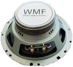WMF Whale Makes Future Car Stereos Audio Speakers For Automobiles