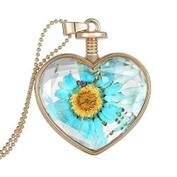 Diffstyle Charming Dried Pressed Flower Love Heart Glass Bottle Pendant Collar Necklace Type 17
