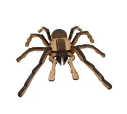 3D Wooden Model Insects Chilean Rose Tarantula Spider