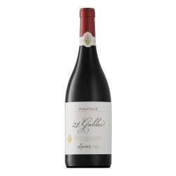 Spier 21 Gables Pinotage 750ML - 1