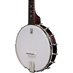 Deering Classic Goodtime Special 5-string Open Back Banjo