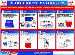 OSHA4LESS Bloodborne Pathogens Training Poster BBP-2226