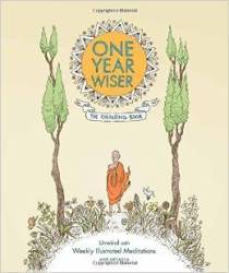 One Year Wiser: The Colouring Book - Mike Medaglia Paperback