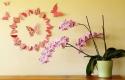 - 3D Butterflies