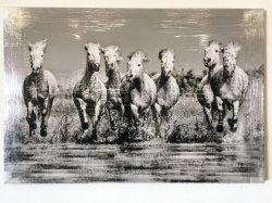 Wild Horses Running - Box Framed Print On Canvas - New Stock