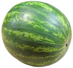 Sandveld Seeds Congo Melon - Watermelon