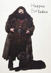 Harry Potter: Hagrid& 39 S Cake Pop-up Card Cards