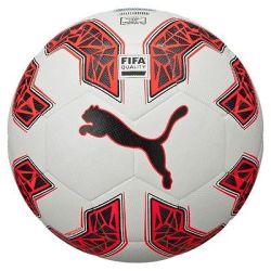 puma evospeed 2.5 soccer ball