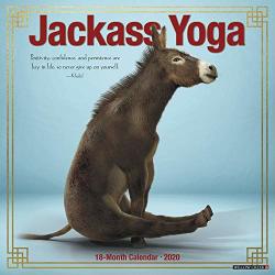 2020 Jackass Yoga Wall Calendar By Willow Creek Press