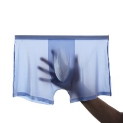 Mens Super Thin Ice Silk Underwear 3D Pouch Mesh Breathable Seamless Shorts Underwear
