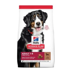 Adult Large Breed With Lamb & Rice Dog Food - 12KG